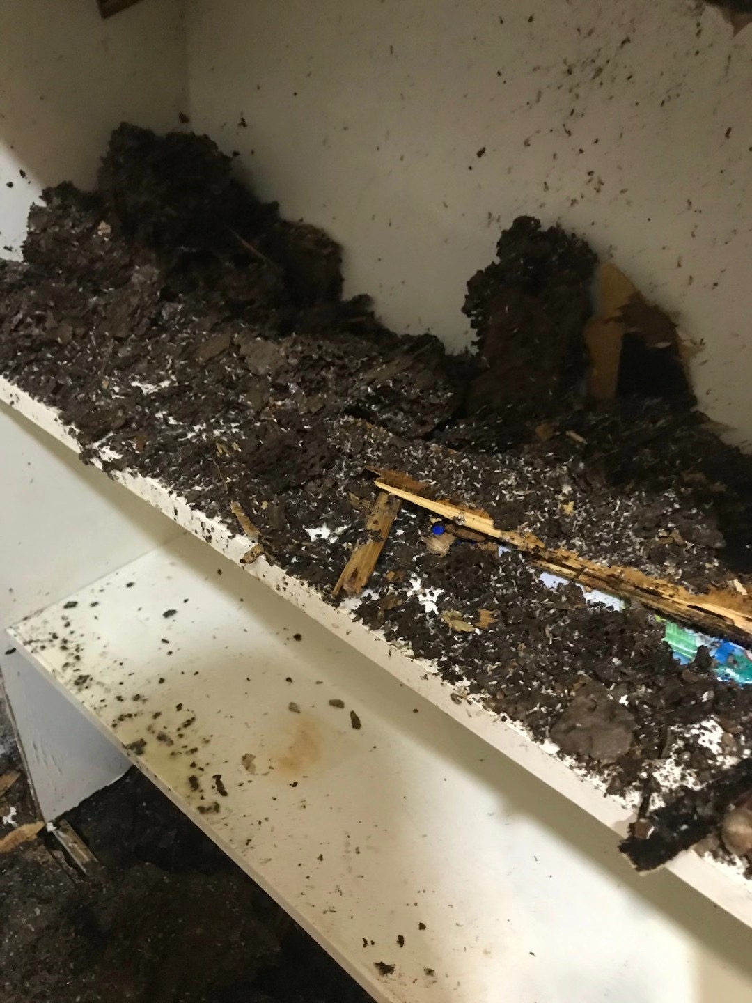 微信圖片_20211007102040.jpg 微信圖片_20211007102040.jpg